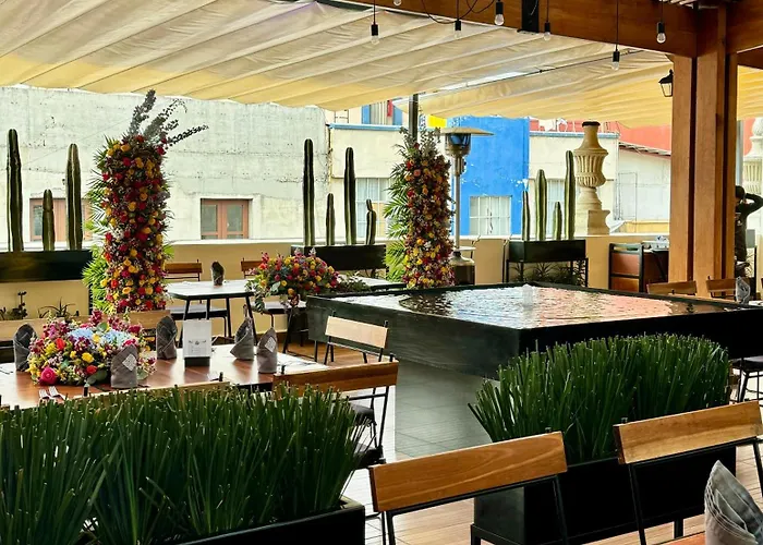 Casa De La Luz Boutique 5* Mexico City