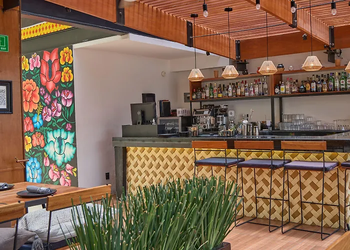 Casa De La Luz Boutique 5* Mexico City